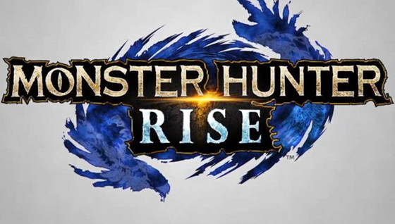 Deux nouveaux Monster Hunter pour 2021 !