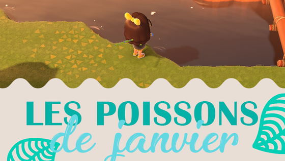 Les poissons à pêcher en février