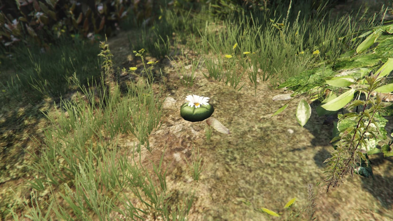 Peyote bird gta 5 фото 31