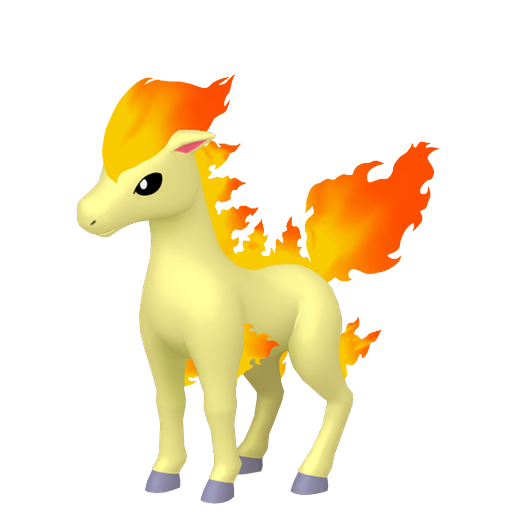 ponyta