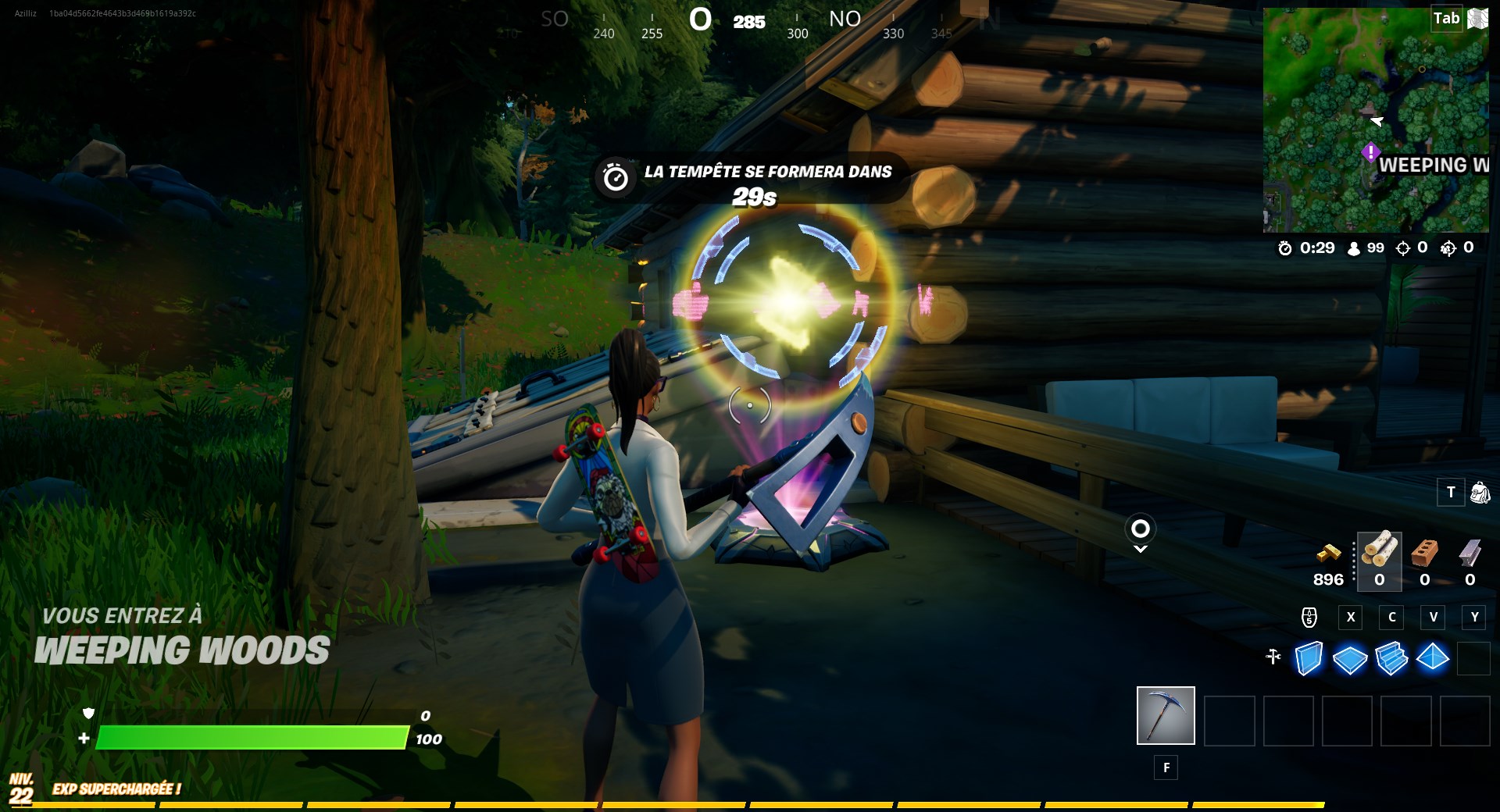 fortnite-dalle-holographique-weeping-woods