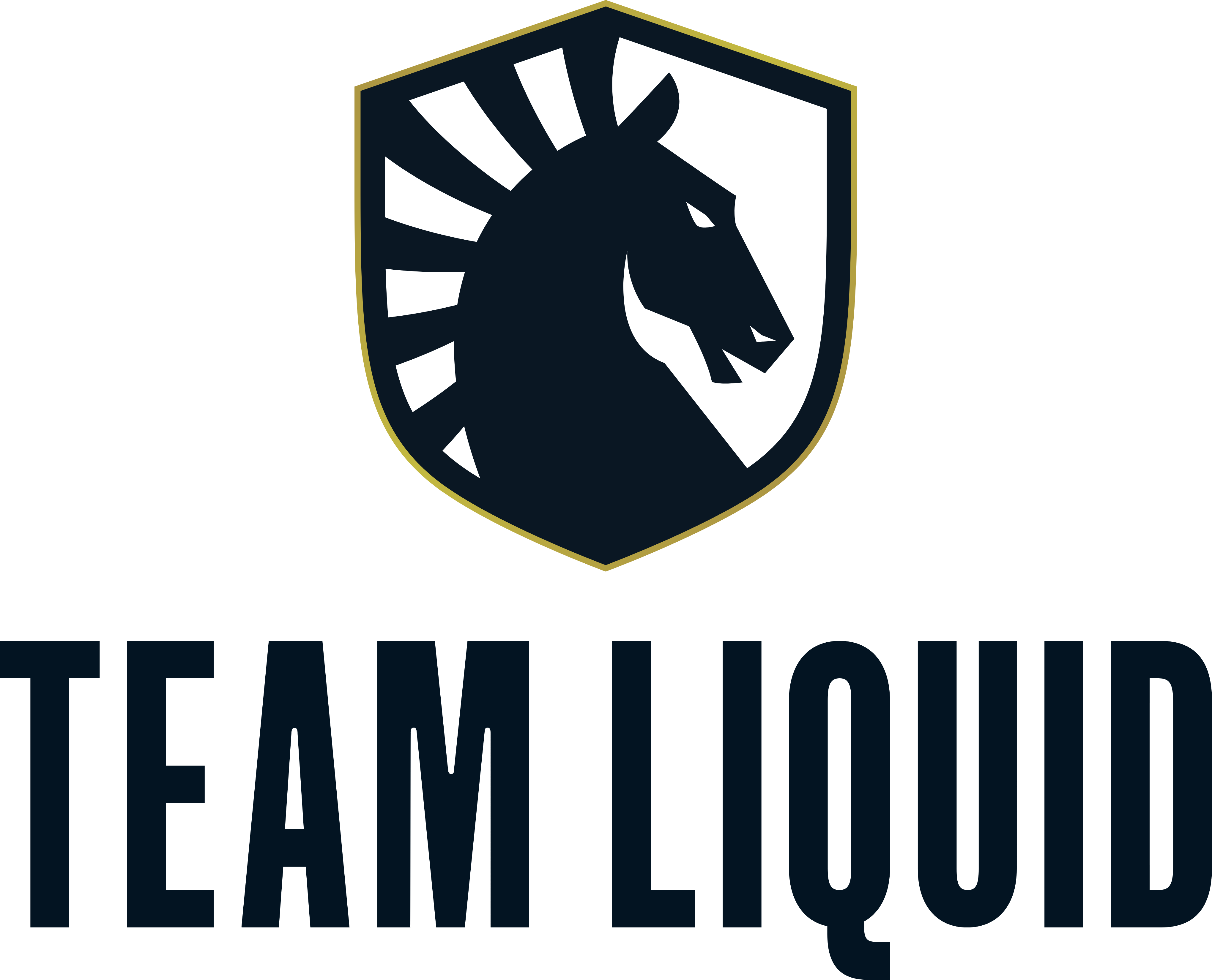 Team_Liquidlogo_profile