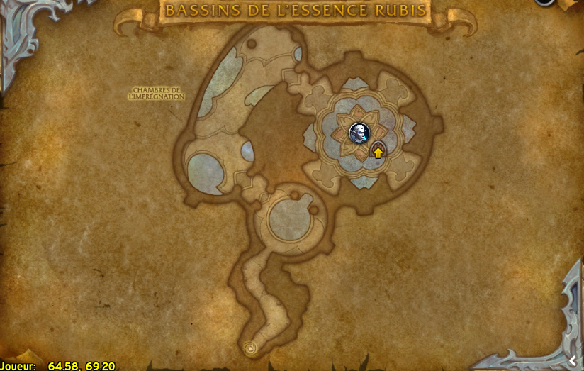 Bassins de l'Essence rubis à WoW Dragonflight guide du donjon et des