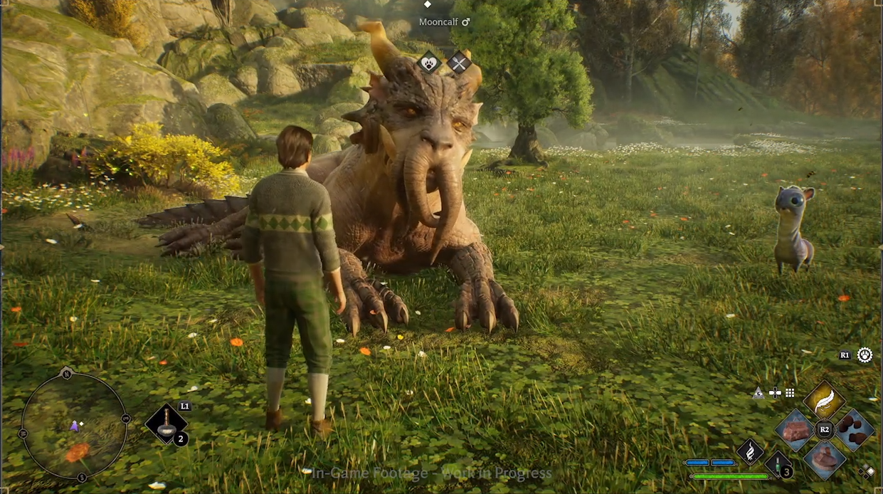 Pourquoi choisir Poufsouffle dans Hogwarts Legacy ? Breakflip