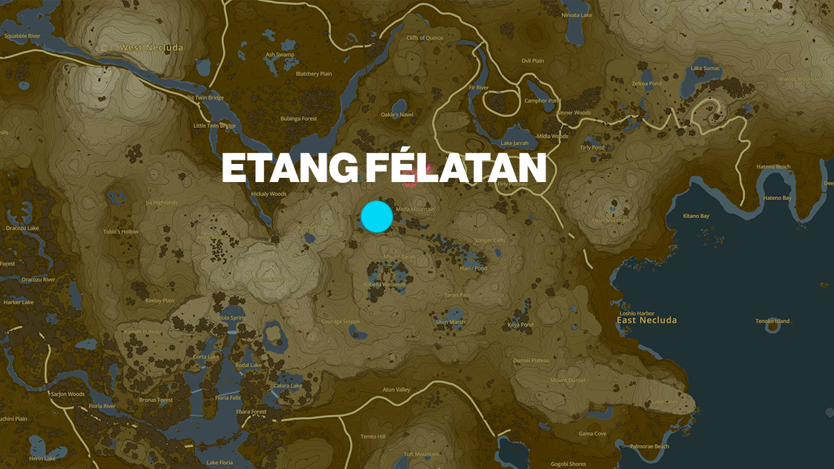 etang-felatan-tears-of-the-kingdom