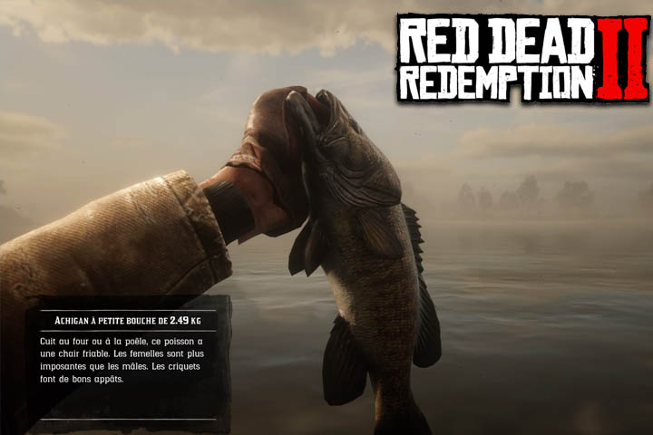 Red Dead Redemption 2 Achigan A Petite Bouche Ou Pecher Le Poisson Legendaire Breakflip Actualites Et Guides Sur Les Jeux Video Du Moment