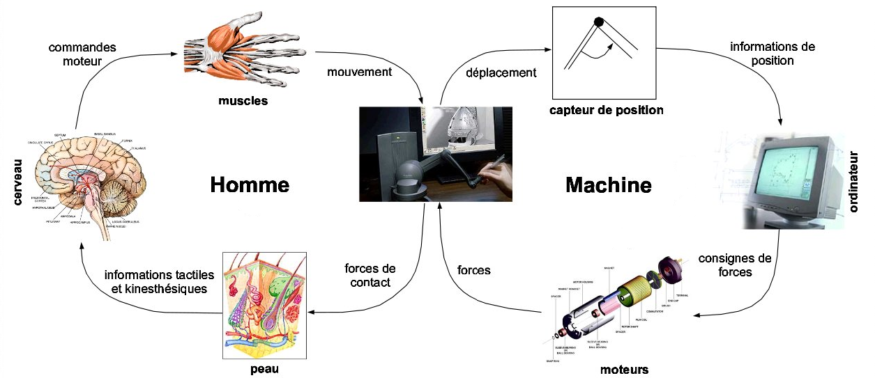 De nouvelles technologies pour les manettes de la PS5