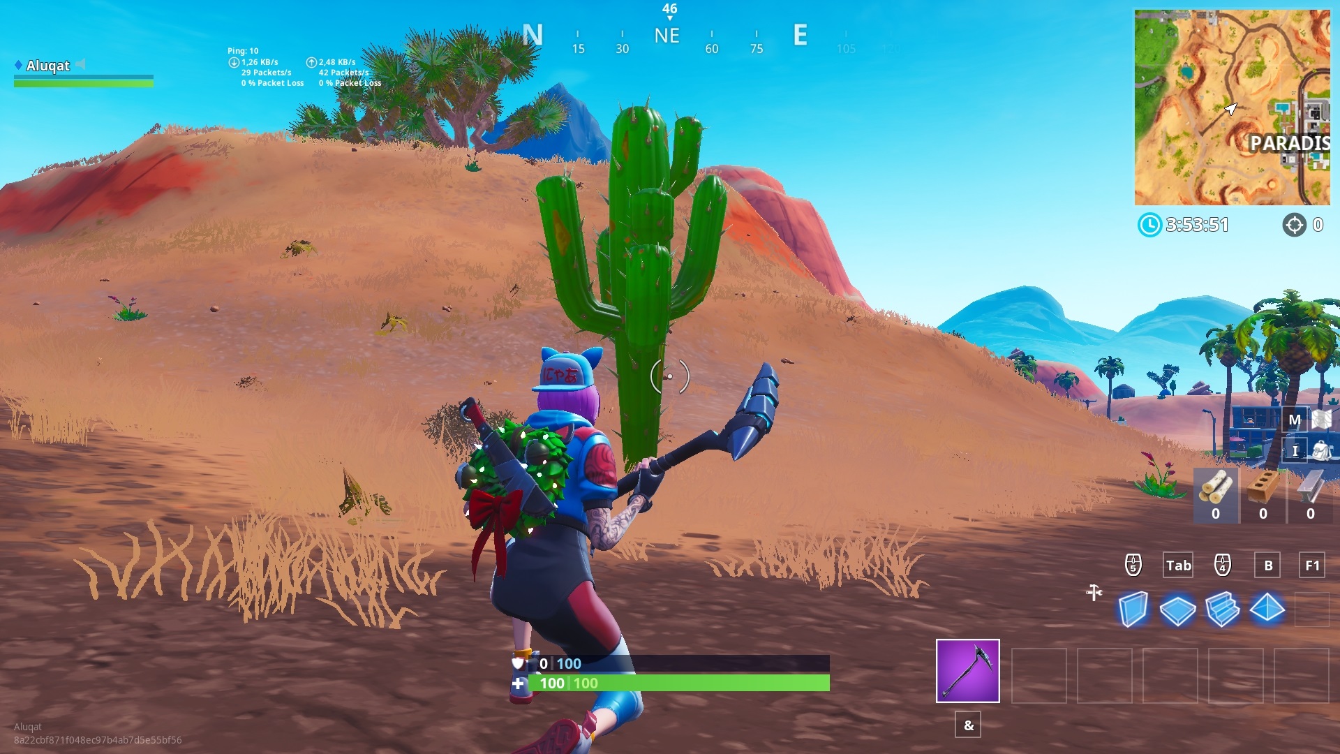 cactus-fortnite