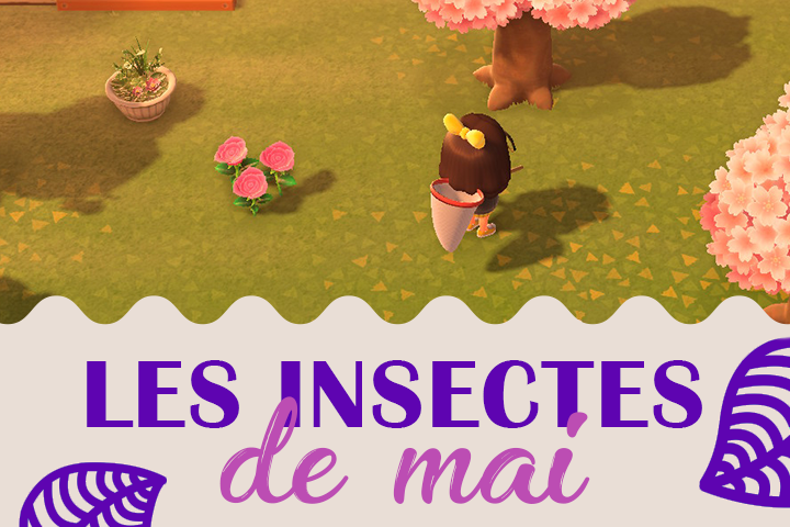 Insectes Du Mois De Mai Dans Animal Crossing New Horizons Hemisphere Nord Et Sud Breakflip Actualites Et Guides Sur Les Jeux Video Du Moment Insectes Du Mois De Mai Dans Animal Crossing New Horizons Hemisphere Nord Et Sud Breakflip Actualites Et Guides Sur Les Jeux Video Du Moment