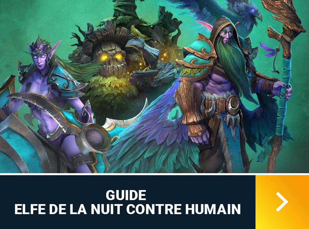 elfes-contre-humains-nuit-build