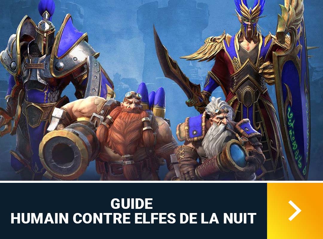 humain-contre-elfes-nuit-build