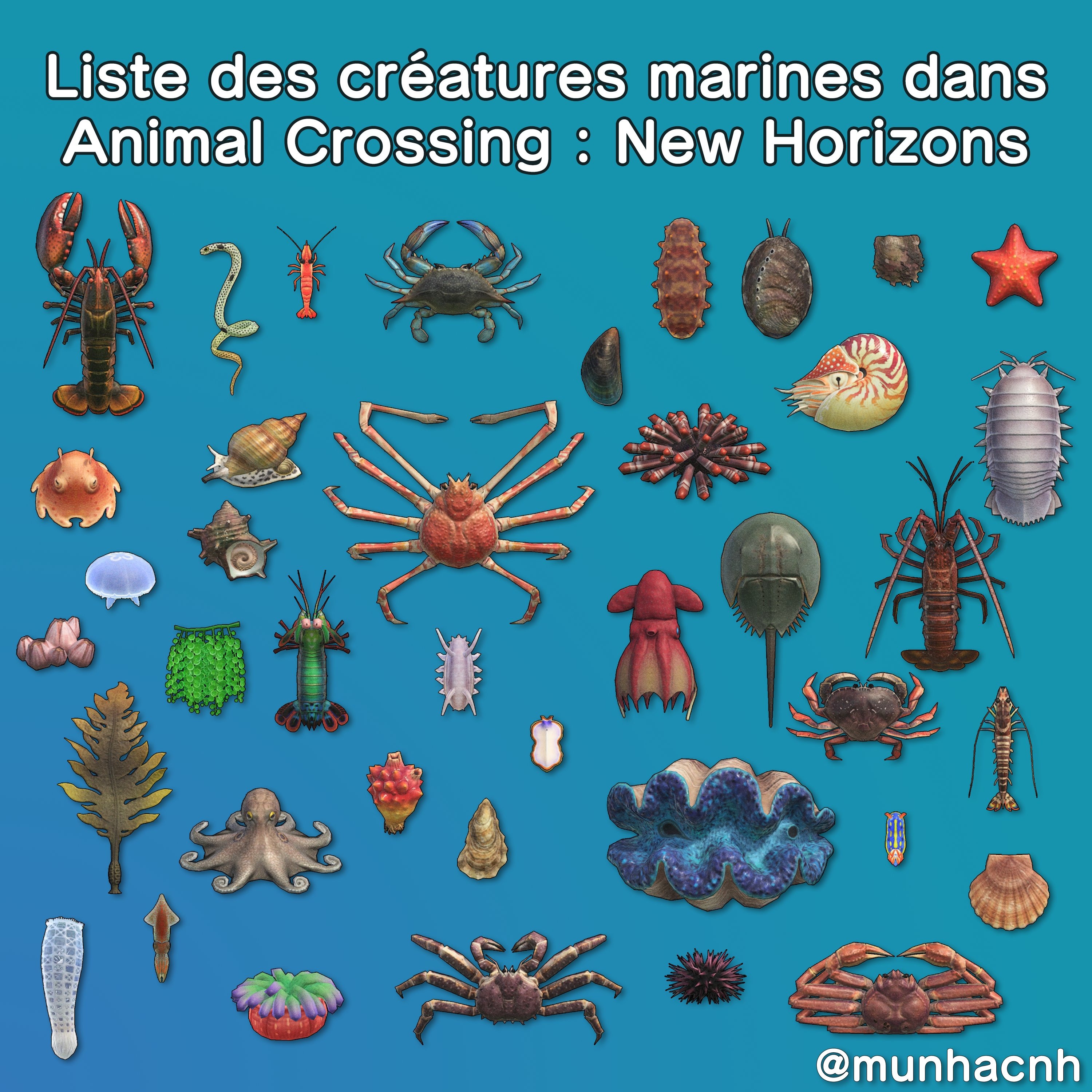 Toutes les créatures marines d