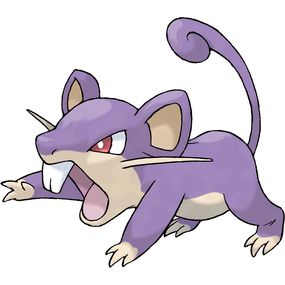 Rattata