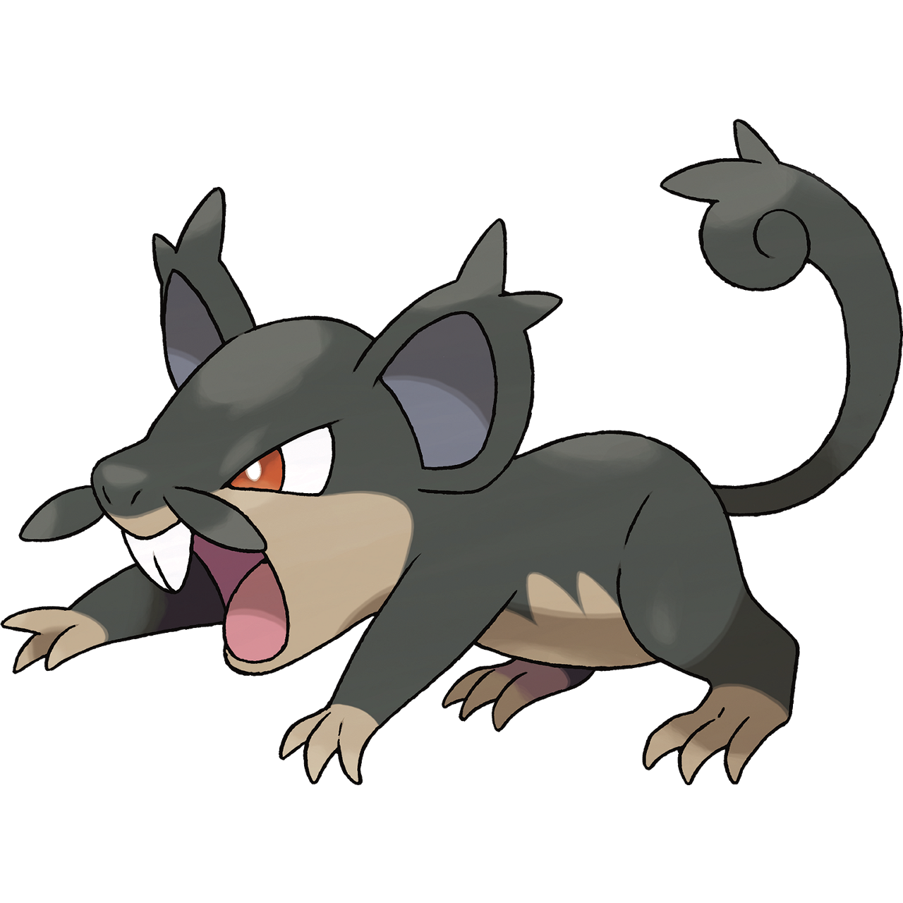 Rattata