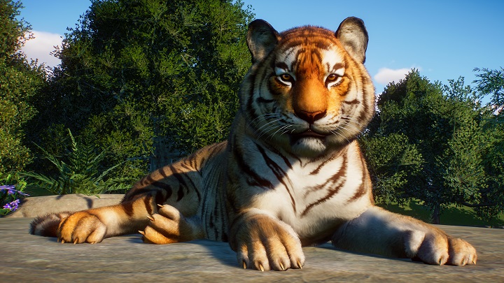 Le mode franchise de Planet Zoo