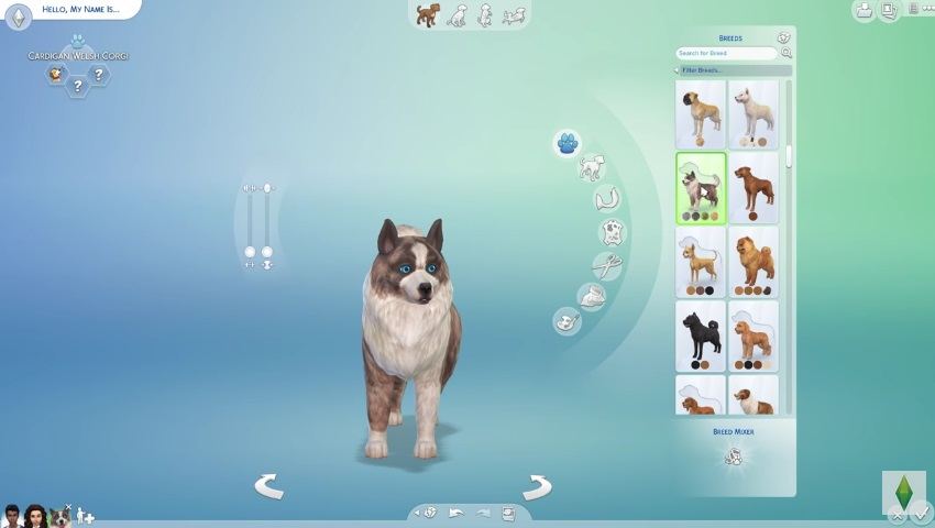 Créer un animal sur les Sims 4