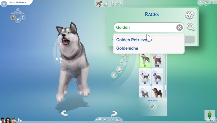 Sims 4 Chiens Et Chats Créer Un Animal Et Le