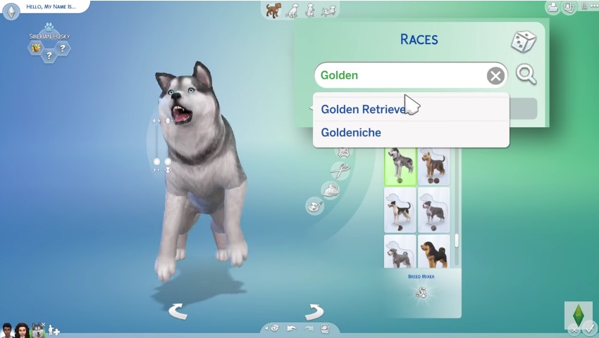 Créer un animal sur les Sims 4