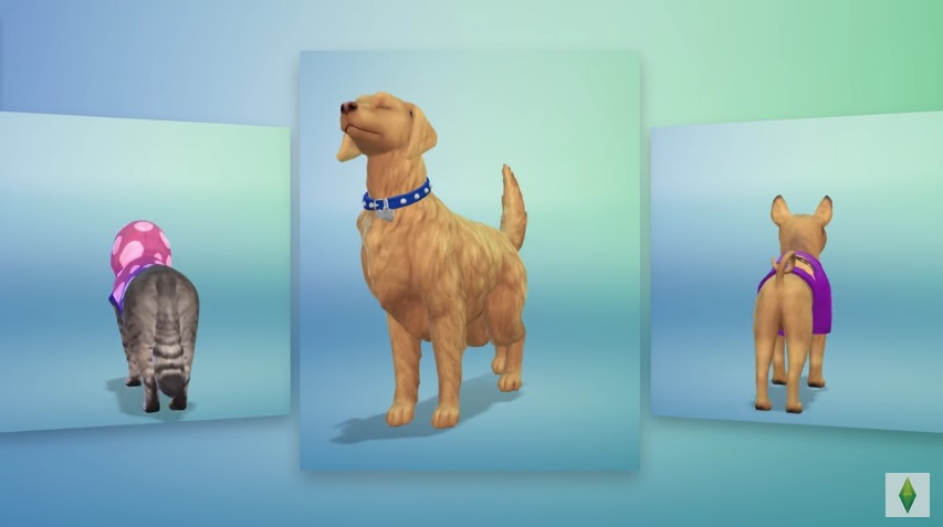 Créer un animal sur les Sims 4