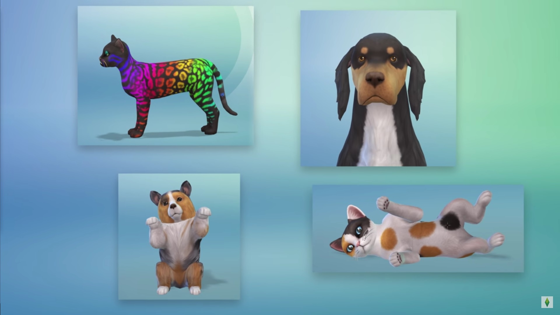 Créer un animal sur les Sims 4
