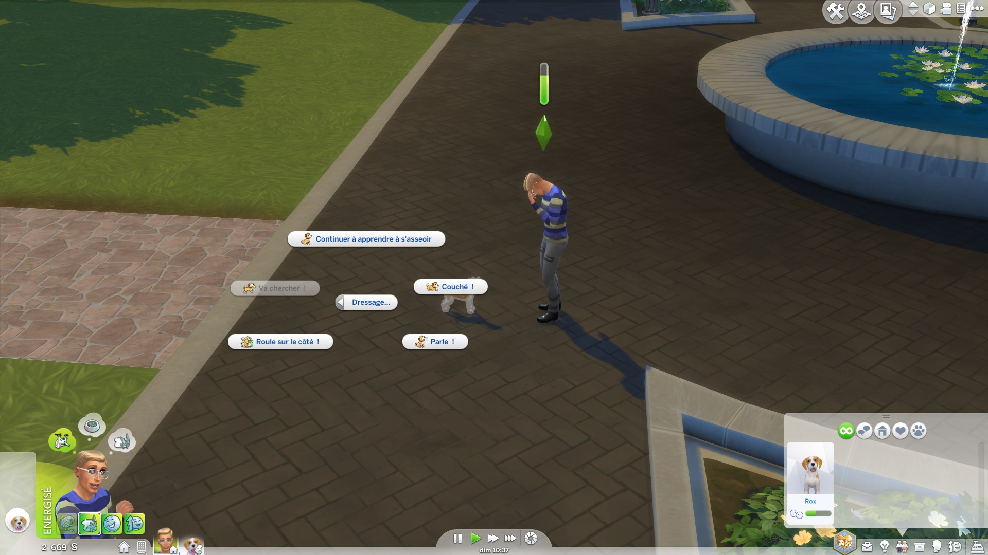 Sims 4 Chiens Et Chats Dresser Et Améliorer Les