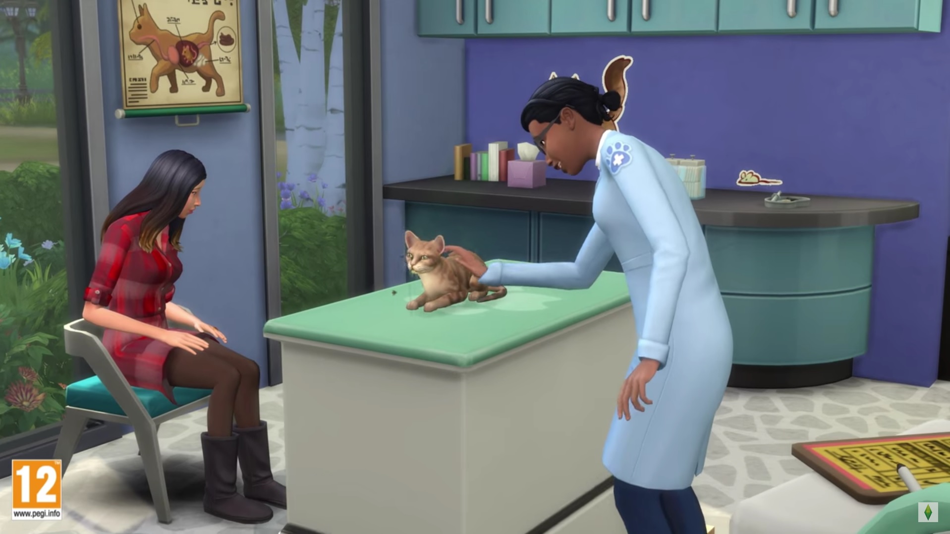 Sims 4 Chiens Et Chats Devenir Vétérinaire Et Gérer Sa