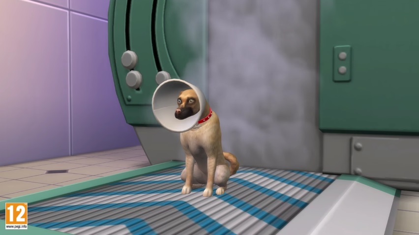 Devenir vétérinaire dans les Sims 4