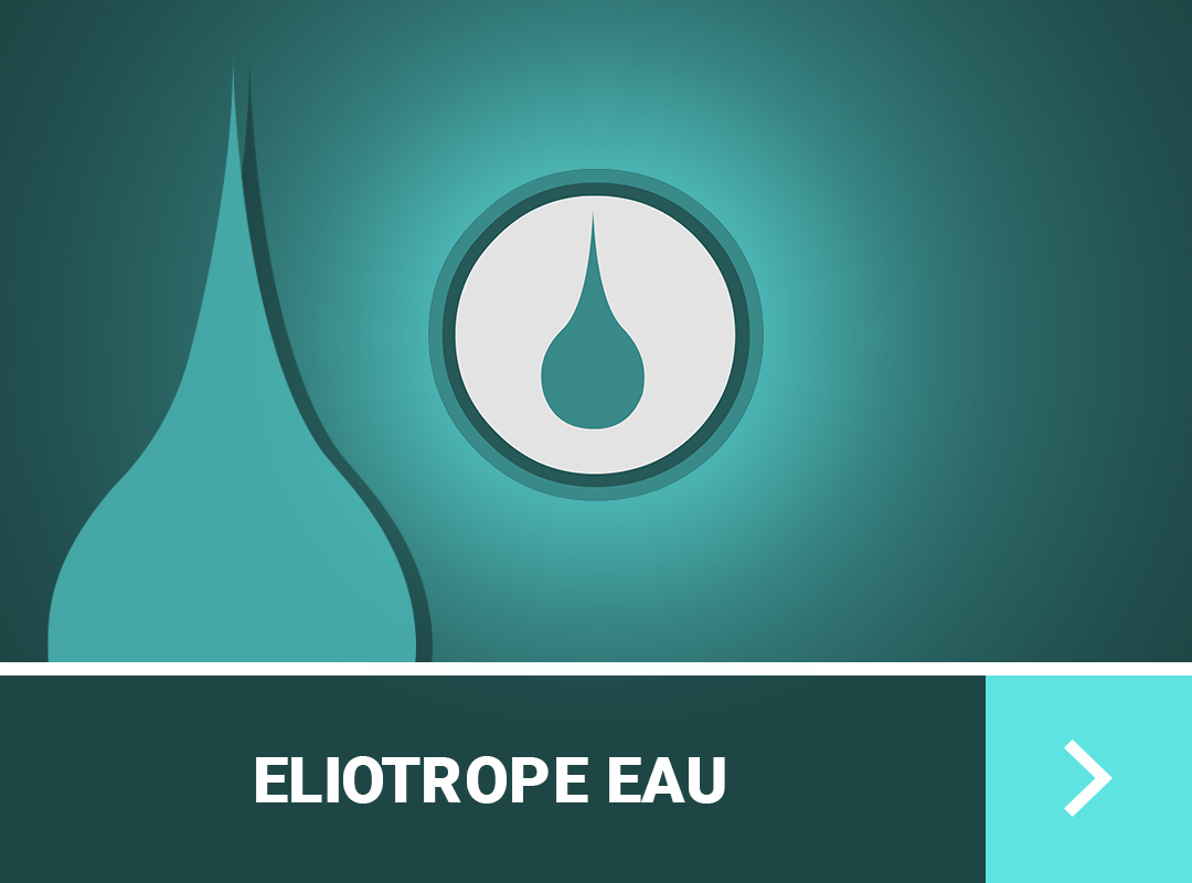 guide-de-stuff-eliotrope-dofus