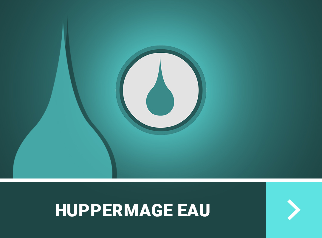 guide-de-stuff-huppermage-dofus