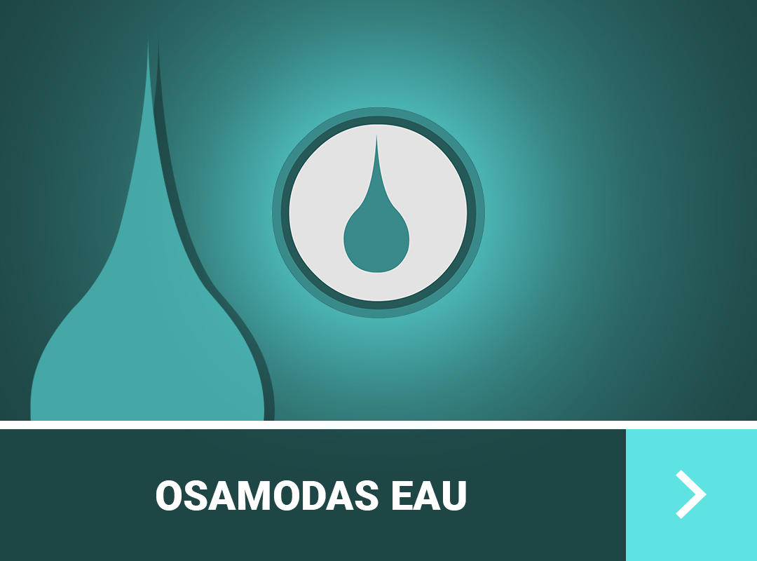 guide-de-stuff-osamodas-dofus