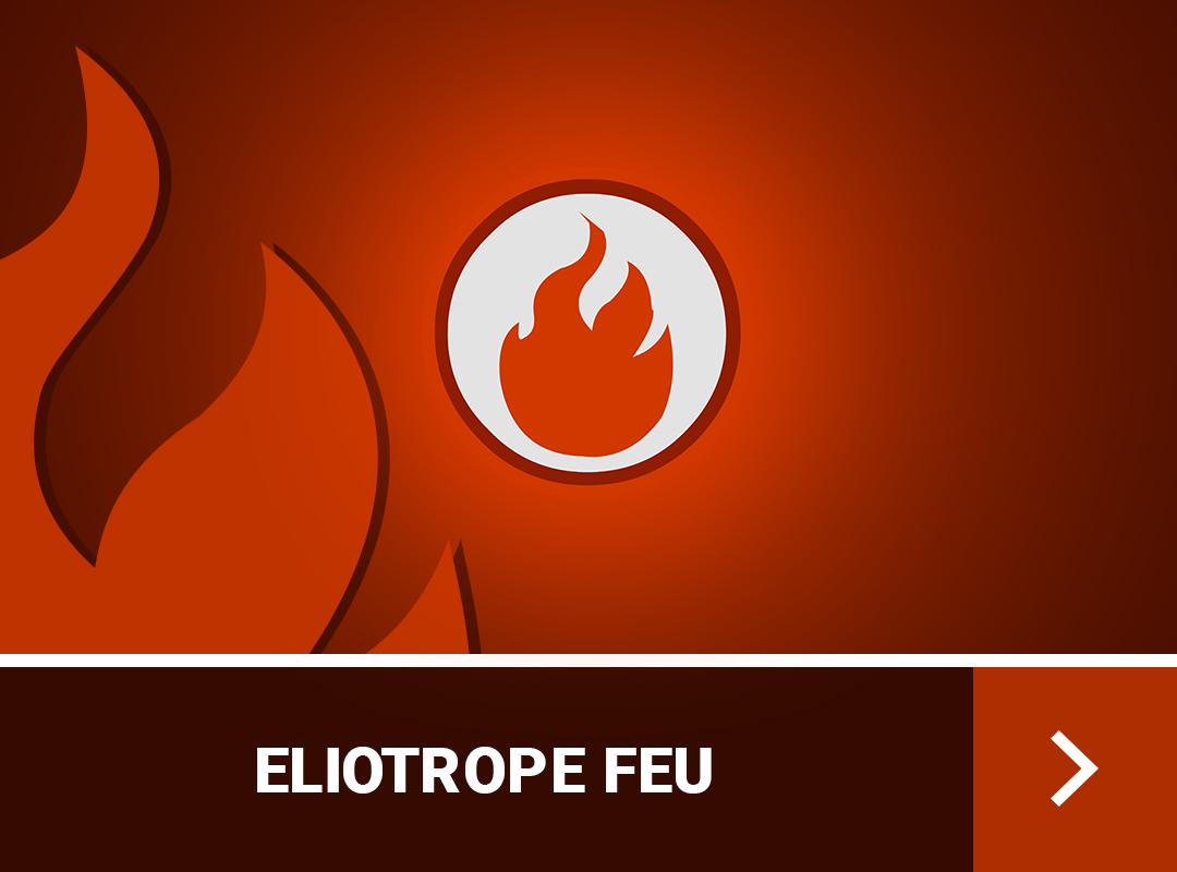 guide-de-stuff-eliotrope-dofus