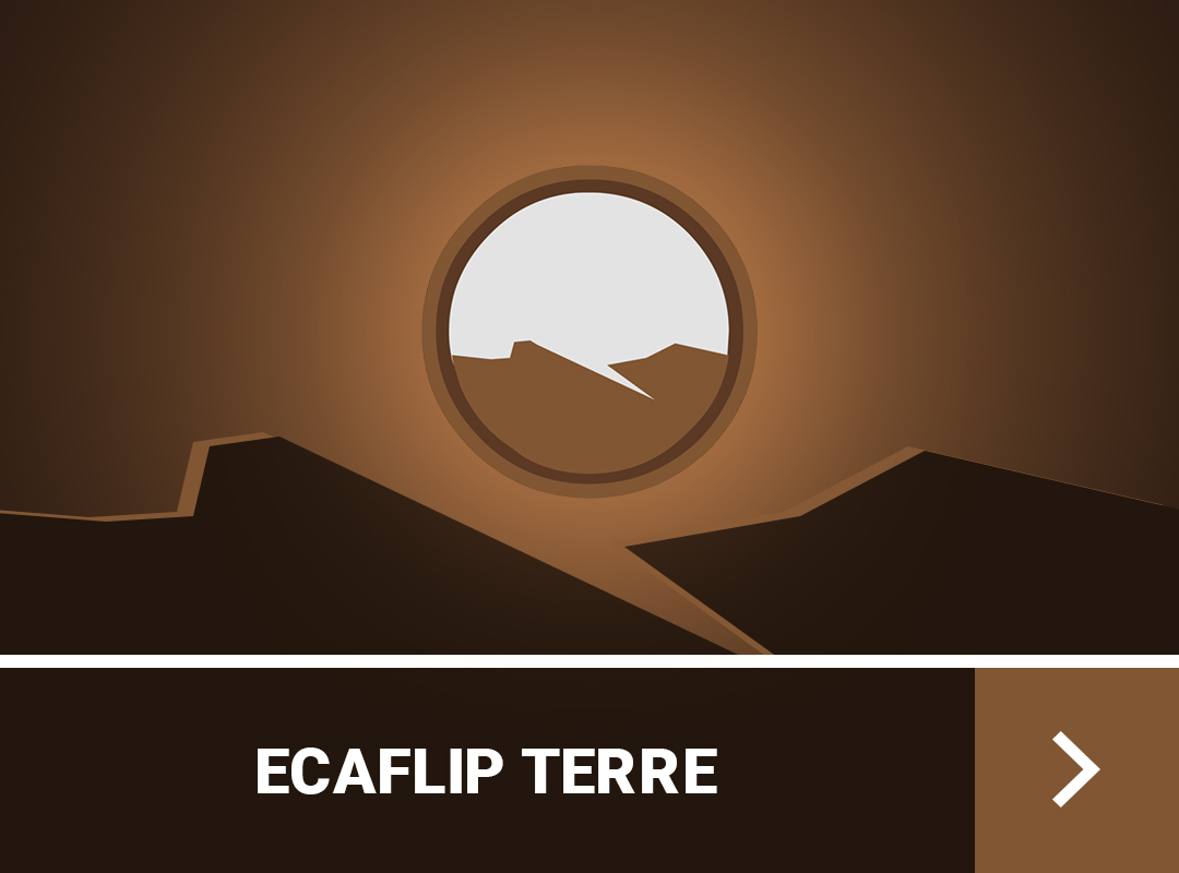 guide-de-stuff-ecaflip-dofus