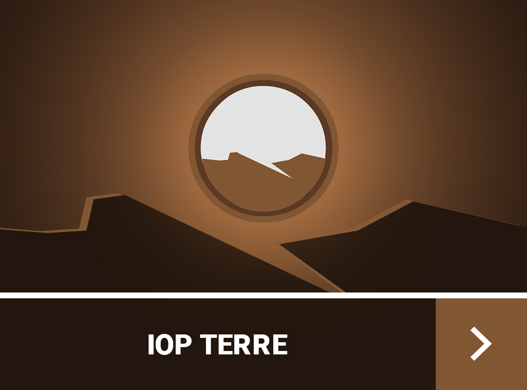 guide-de-stuff-iop-dofus