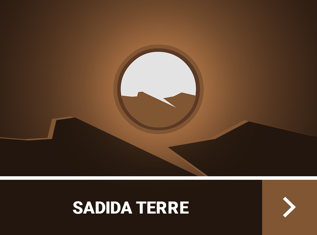 guide-de-stuff-sadida-dofus