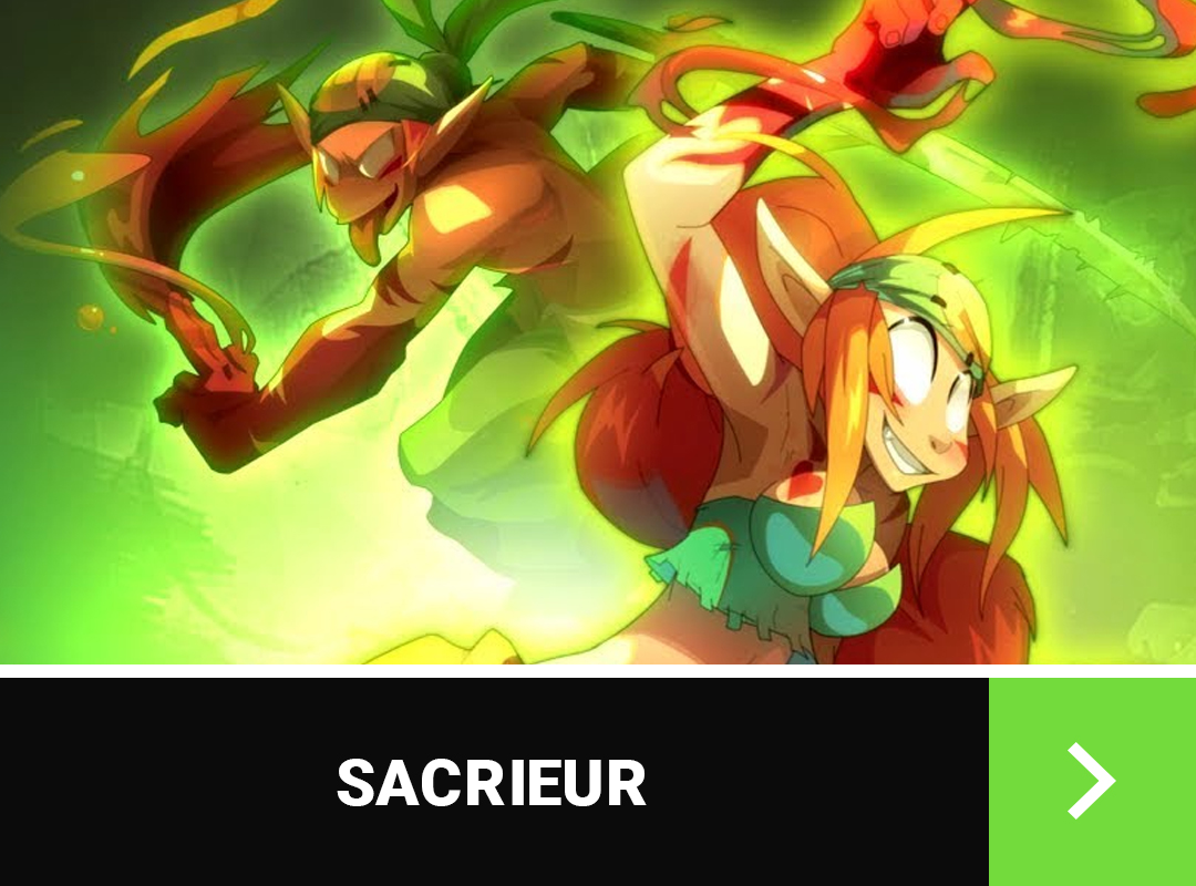DOFUS Guides Et Stuffs Des Classes Breakflip DOFUS Guides Et Stuffs Des Classes Breakflip