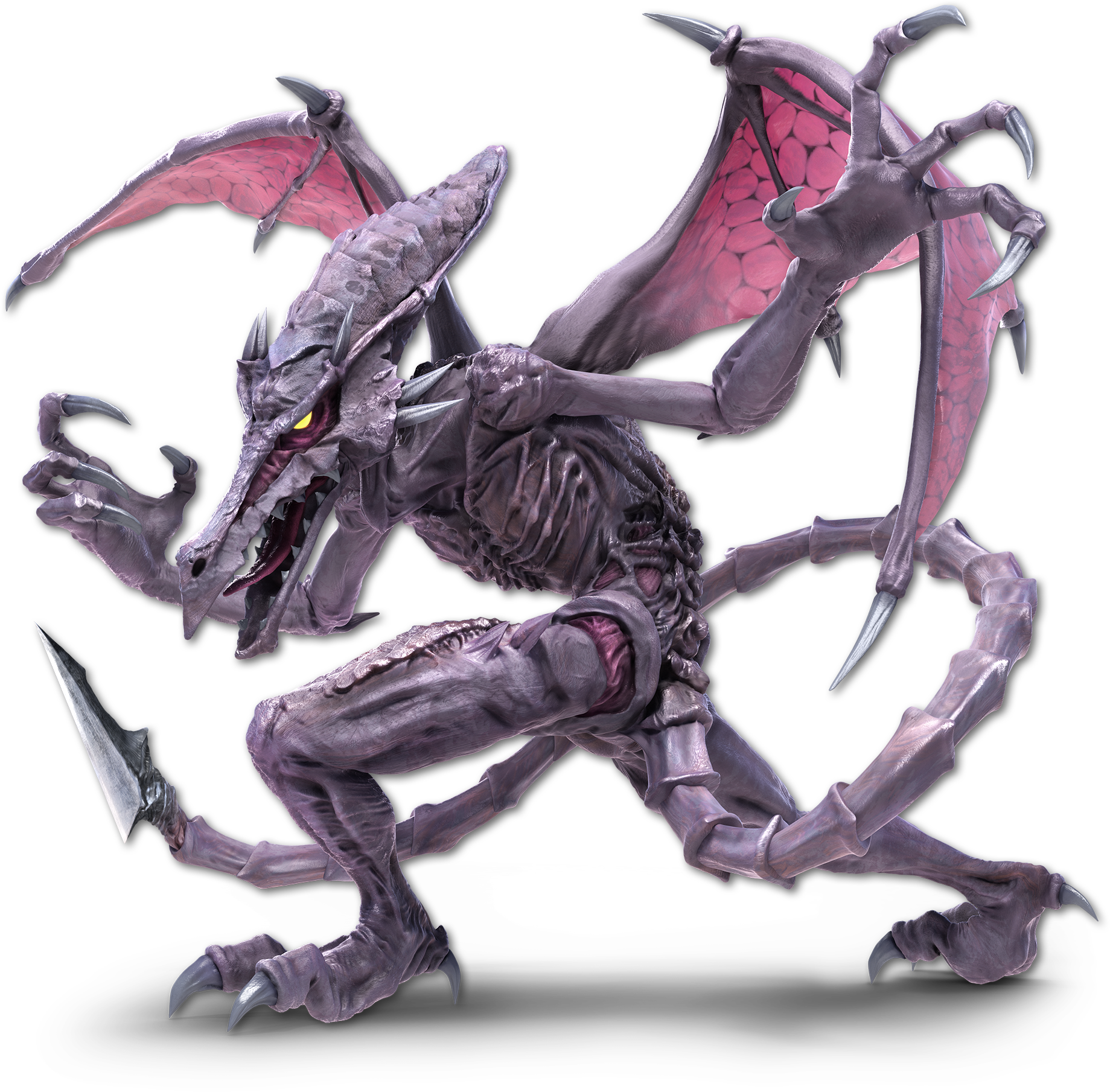 Ridley