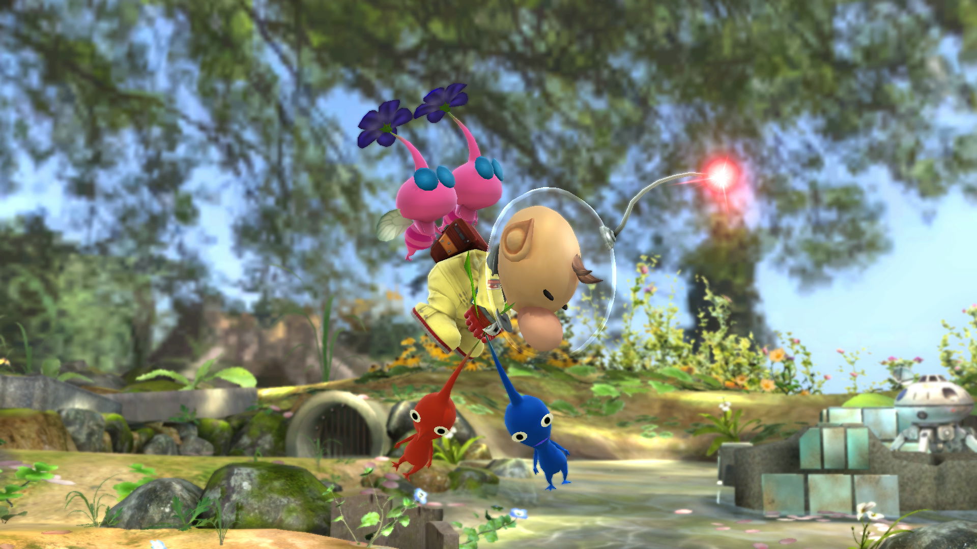 Olimar special haut