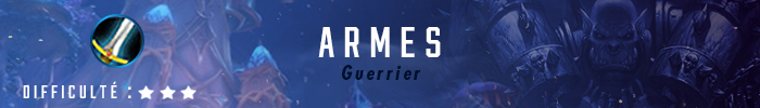 Guide Guerrier Armes 8.0.1