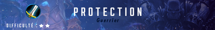 Guide Guerrier Protection 8.0.1