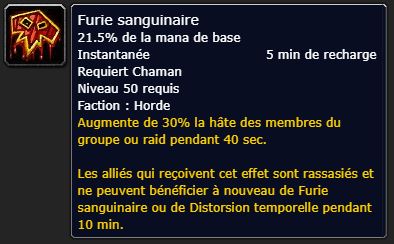 Comment jouer Chaman et Druide en arène ?