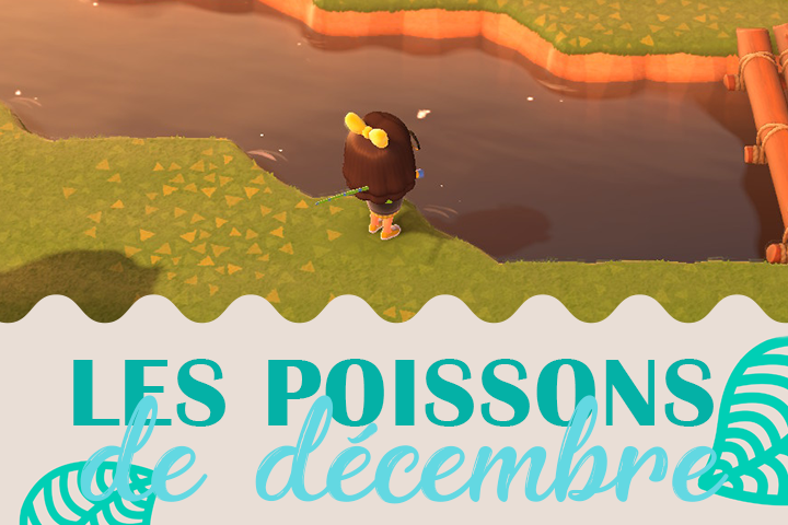 poissons du mois de decembre dans animal crossing new horizons hemisphere nord et sud breakflip actualites et guides sur les jeux video du moment