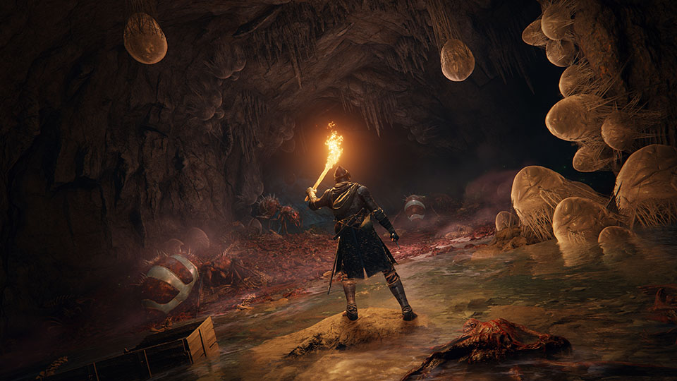 Elden Ring Ranni quest, où trouver le PNJ et réussir sa quête ? Breakflip