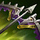 LoL-Reworks-Items-Saison-11