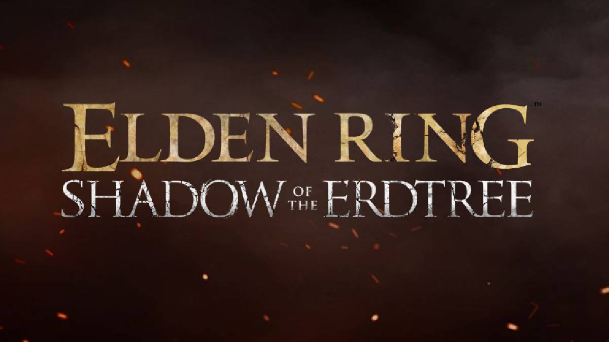 Durée de vie DLC Elden Ring combien de temps pour terminer le DLC Shadow of the Erdtree