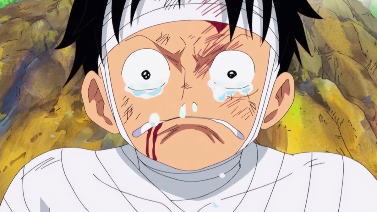 Pour la première fois, l'anime de One Piece prend une ENORME pause et