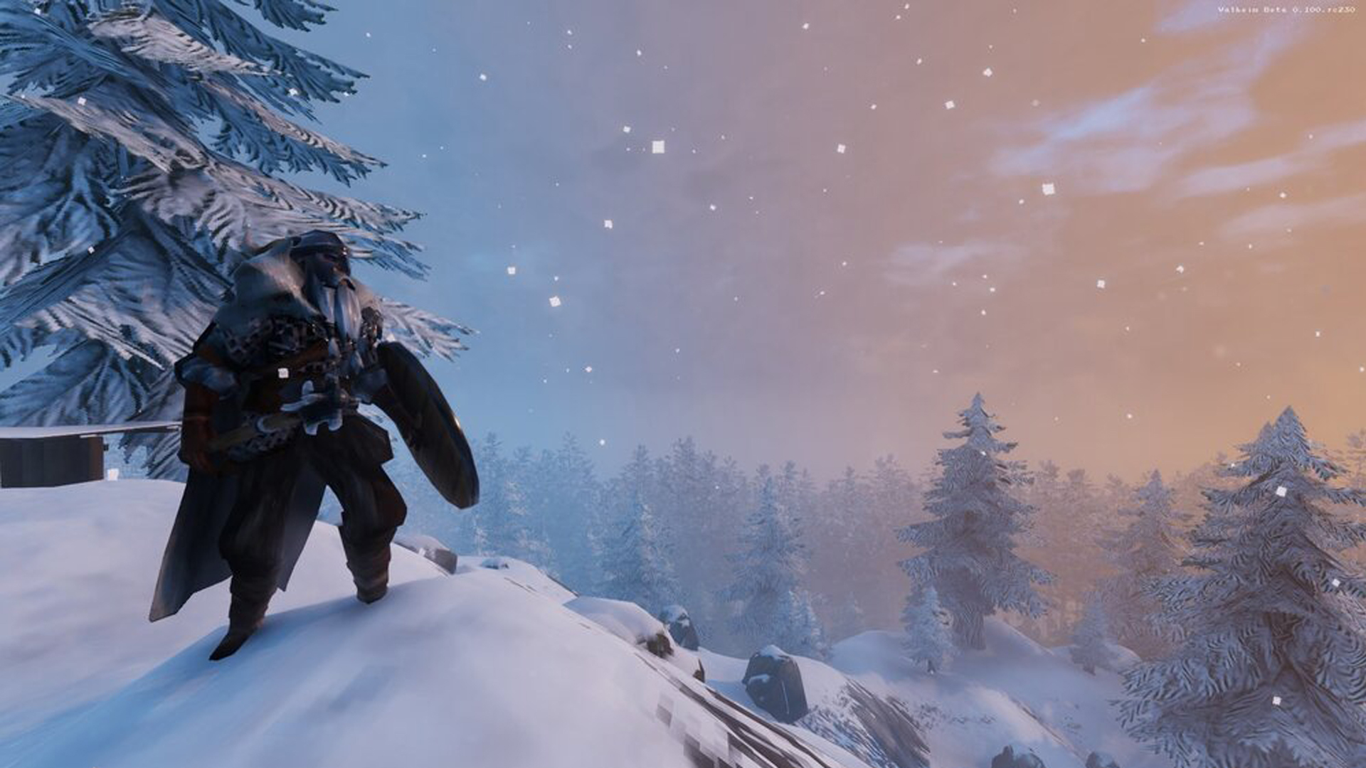 valheim server valheim server