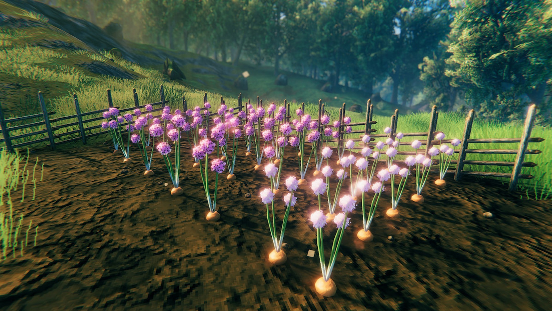 Nouveaux ingrédients Valheim Heart and Home, où les trouver ? Breakflip