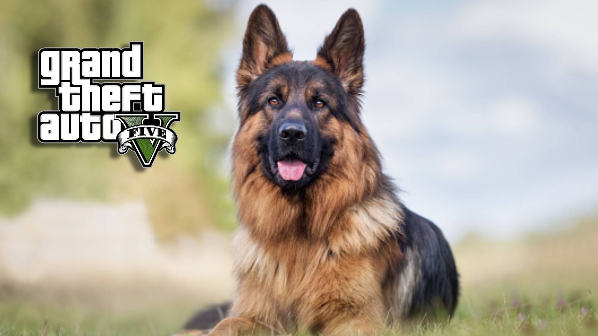 Berger allemand GTA 5, comment avoir le chien avec un mod ? Breakflip