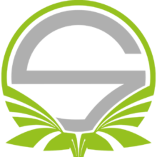 Logo Team Singularity