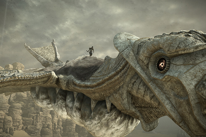 Shadow of the Colossus : Le Mode Photo